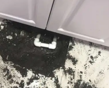 西林查漏水哪家好